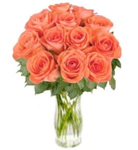 Bunch of Orange Roses