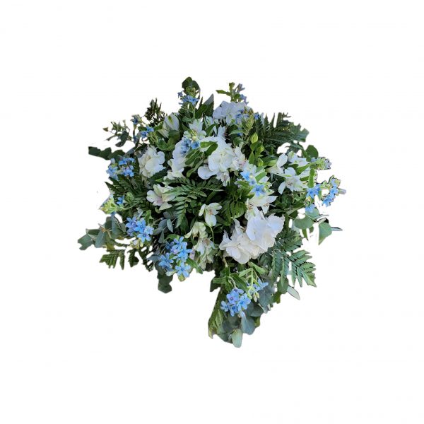 פרחי גורדון ניקול כחול